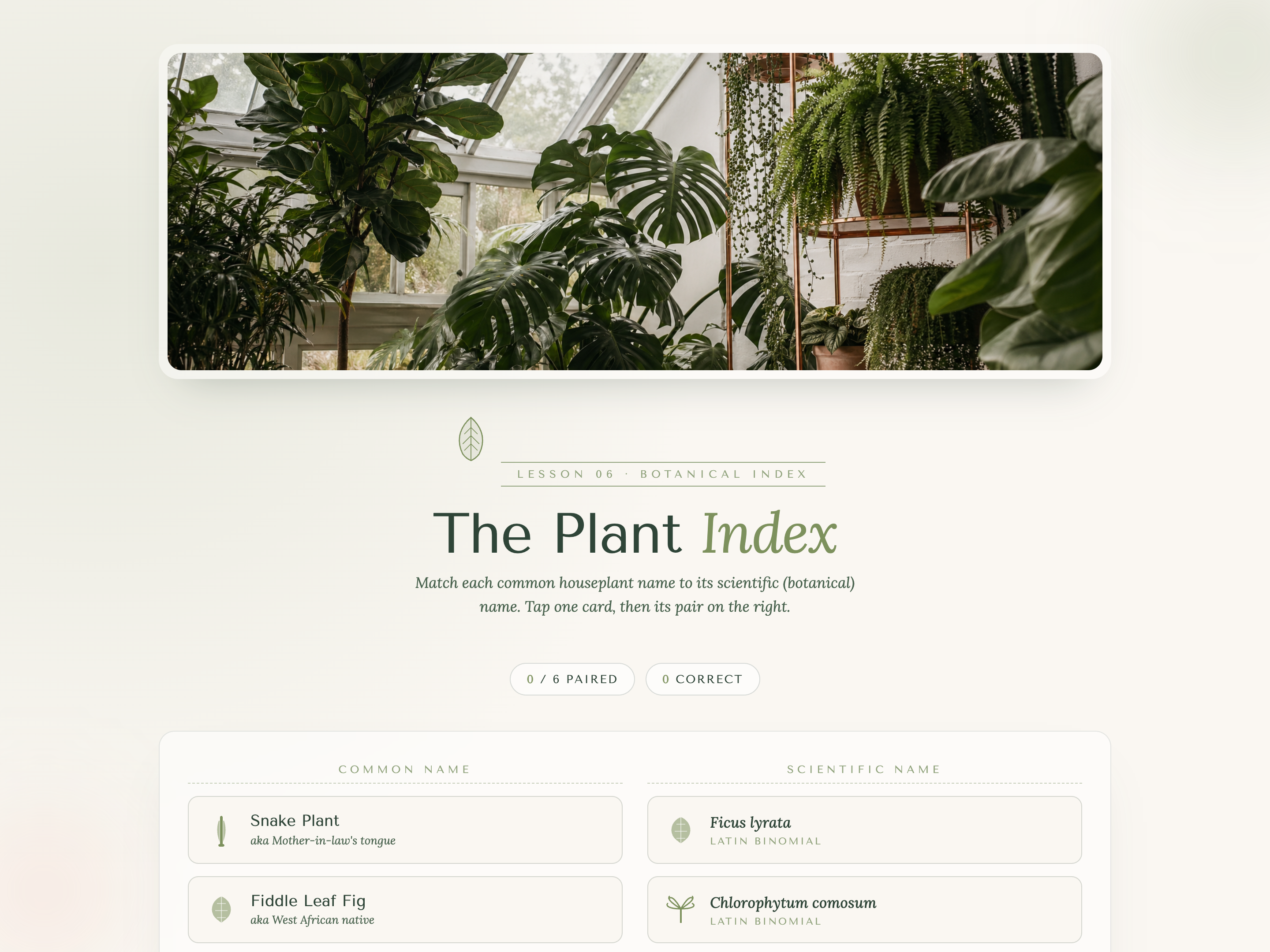 Matching Pairs — Botanical/Index Variant preview