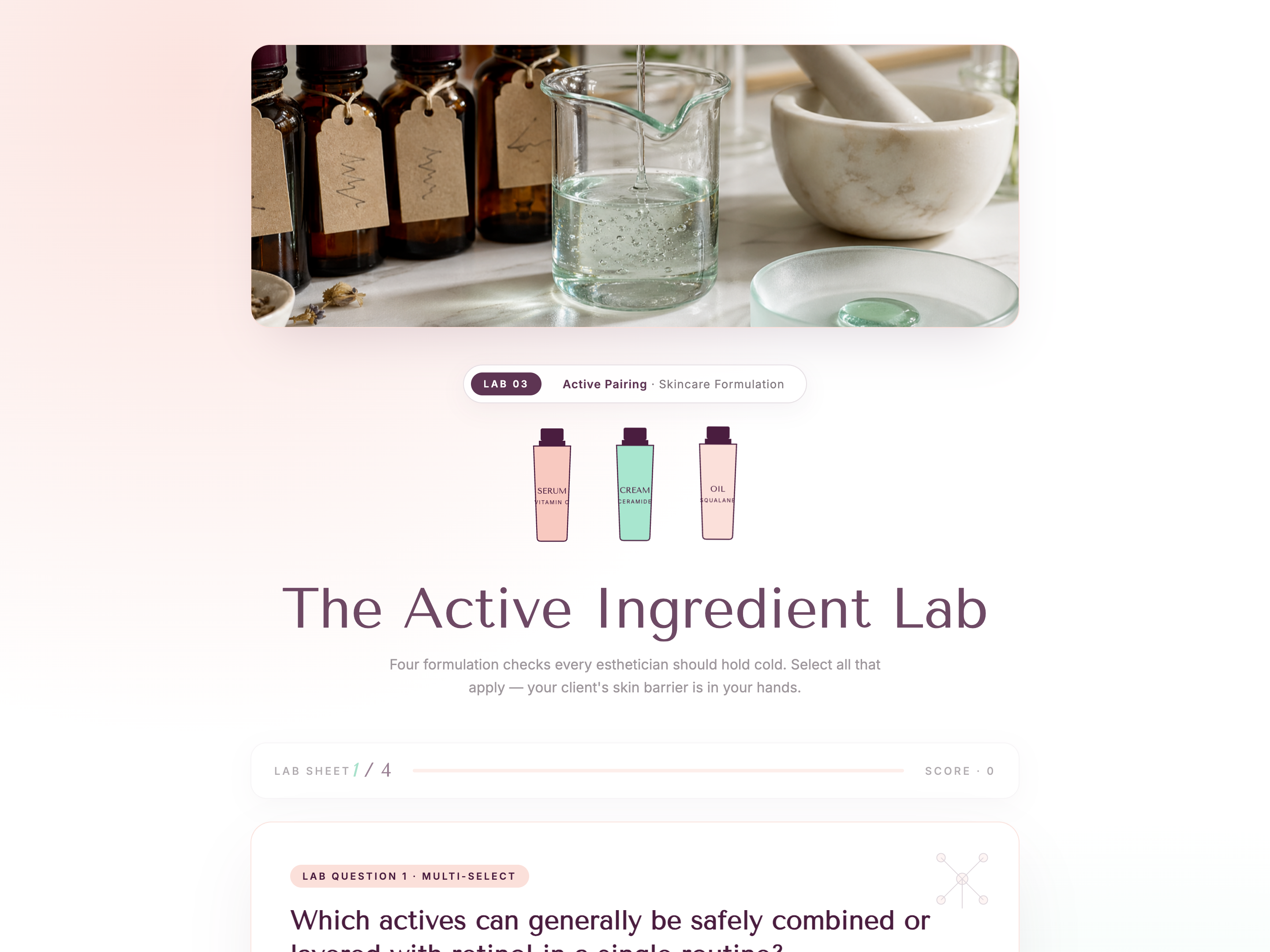 Multiple Select Quiz — Beauty/Skincare Variant preview