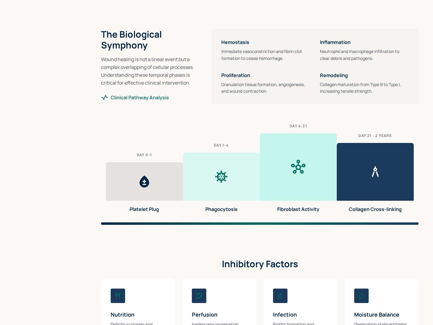 Phased Timeline Lesson — Continuum Walkthrough Variant preview