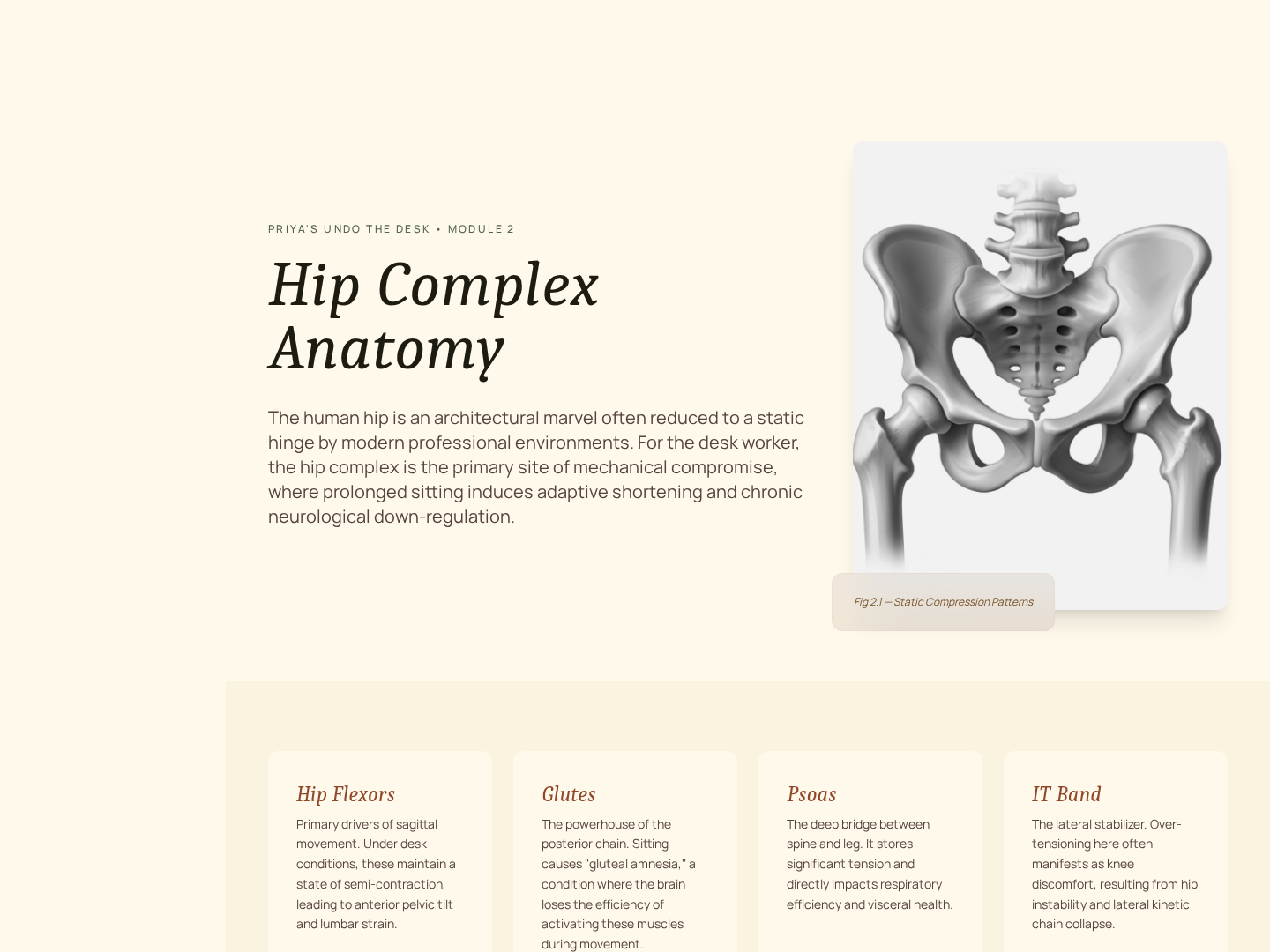 Anatomy Lesson — Labeled Diagram Teaching Page preview