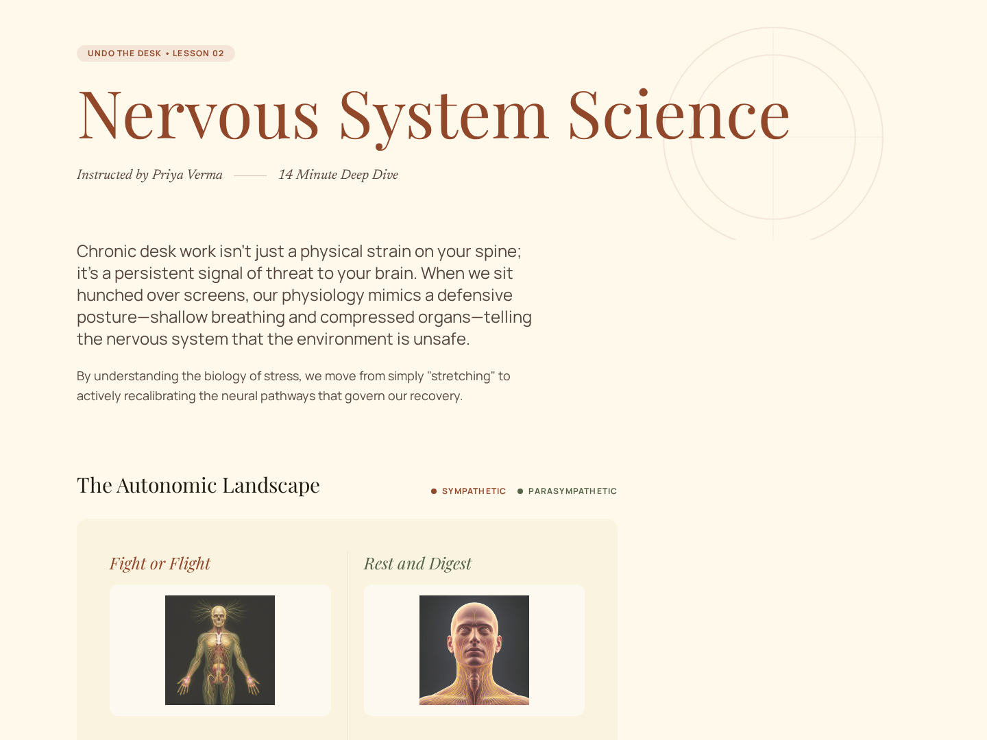 Concept Lesson — Body System Teaching Page preview