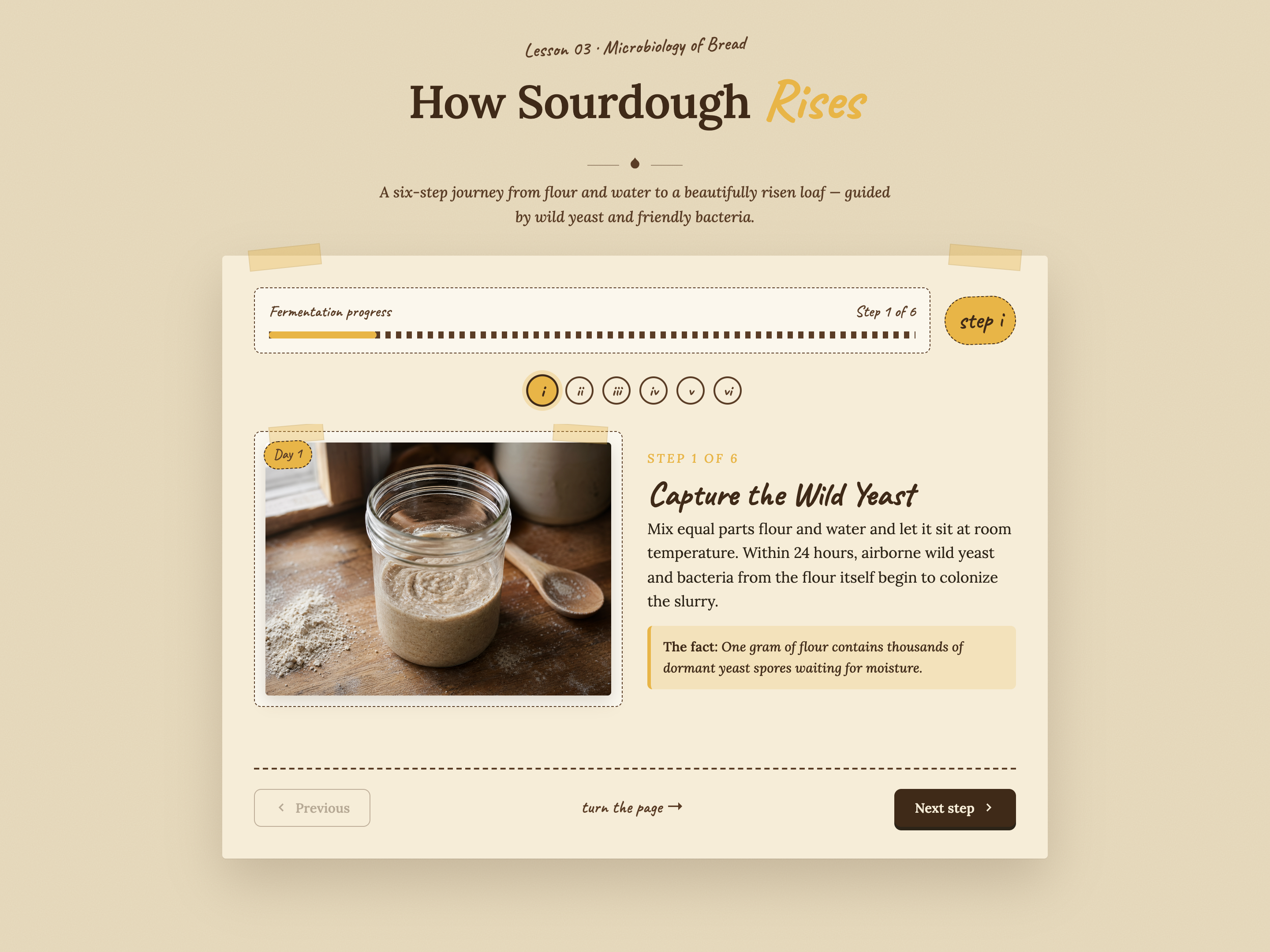 Process Block — Foundational Step-Walkthrough Variant preview