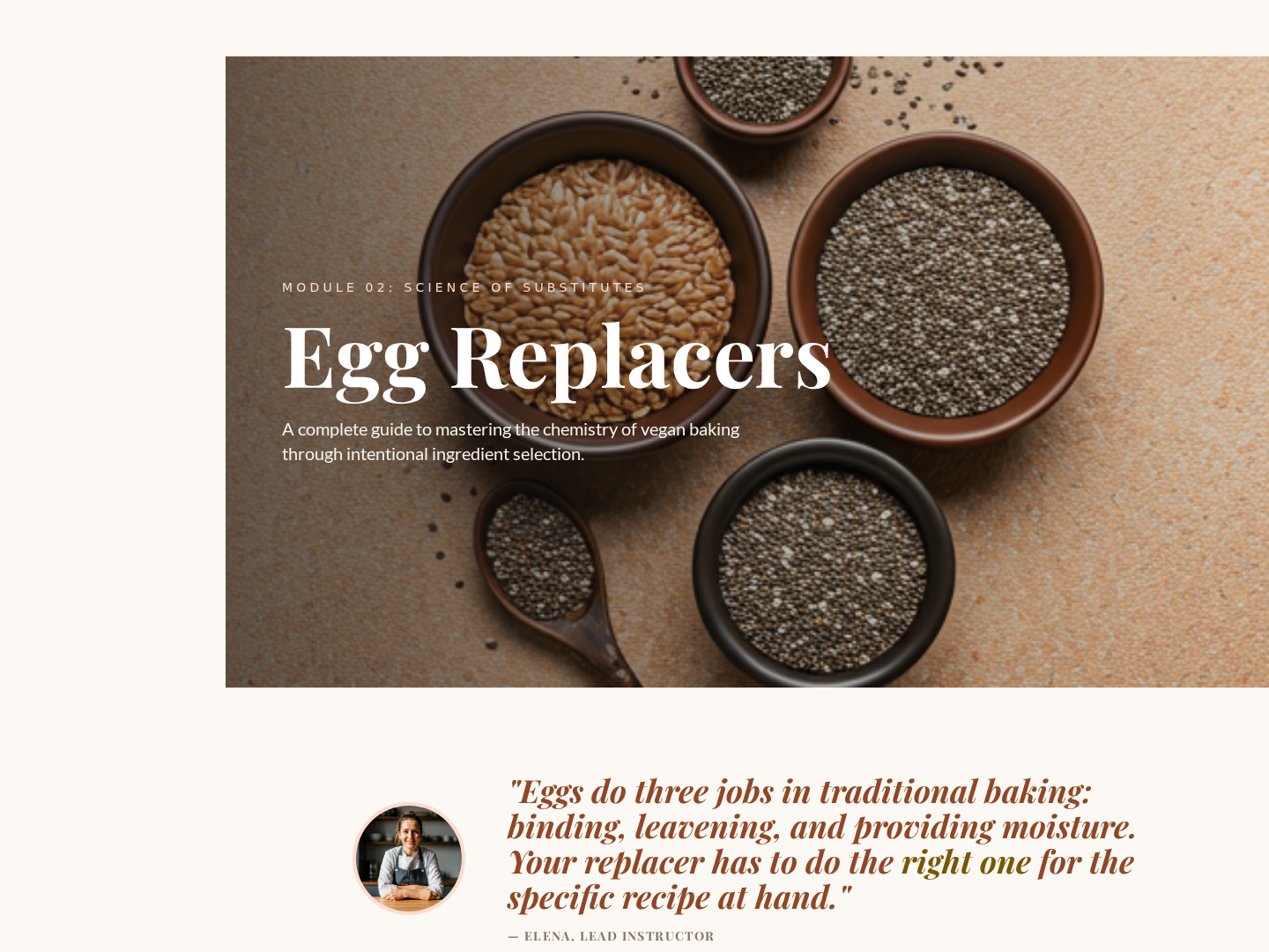 Reference Guide Lesson — Substitution Comparison Page preview
