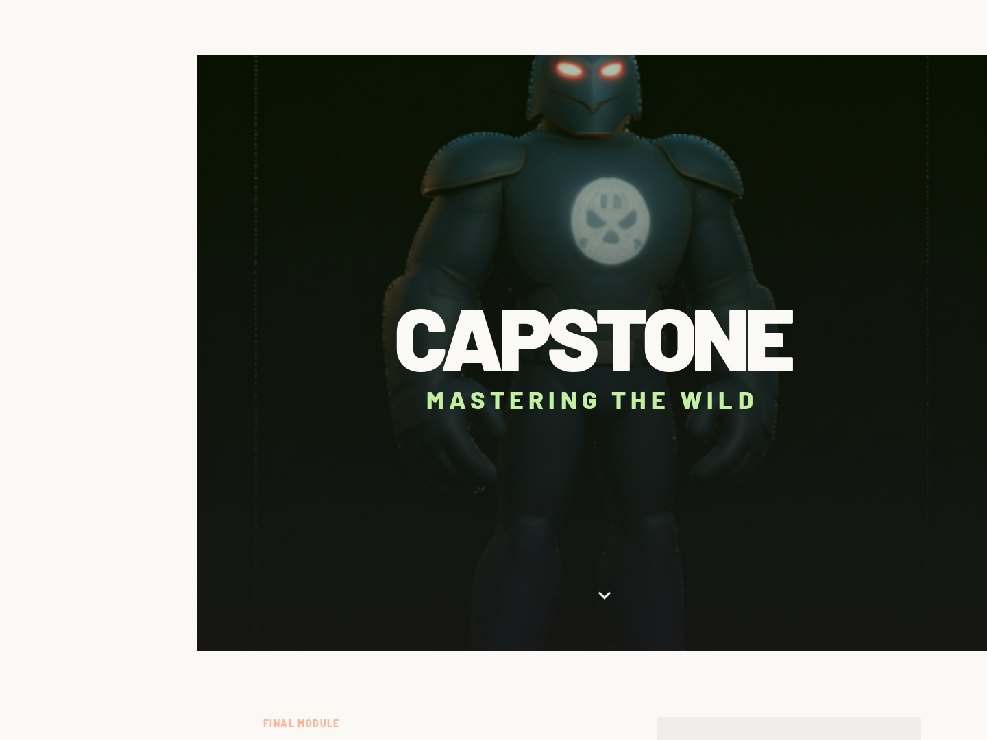 Capstone Application Lesson — Final Project Planning Page preview