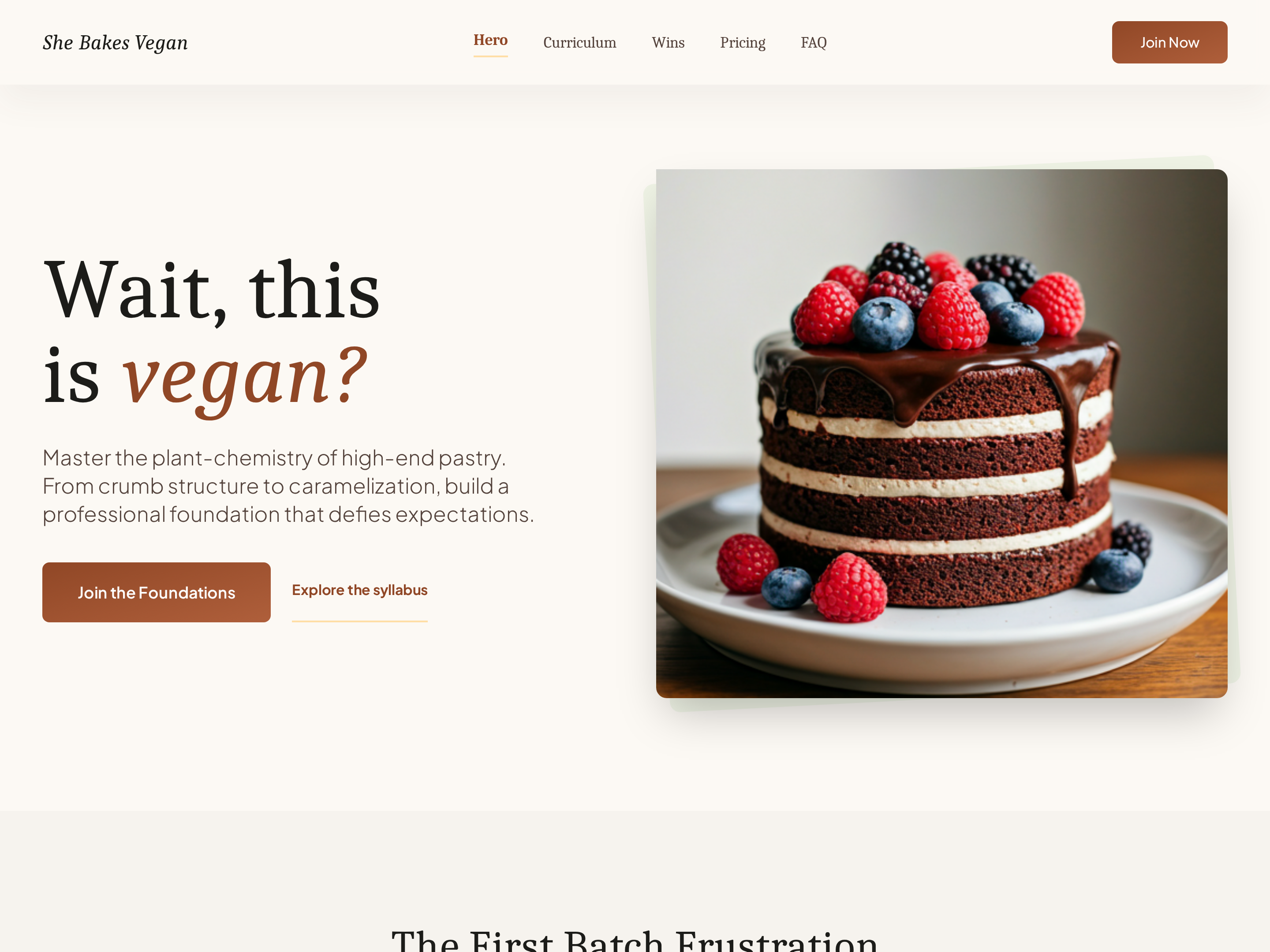 Long-Form Course Sales Page — Sticky-Nav Variant preview
